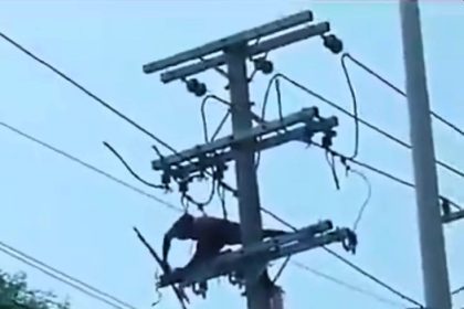 A cable thief in Rio de Janeiro was electrocuted by a high-voltage line and fell from a utility pole, colliding with a street light before hitting the ground.