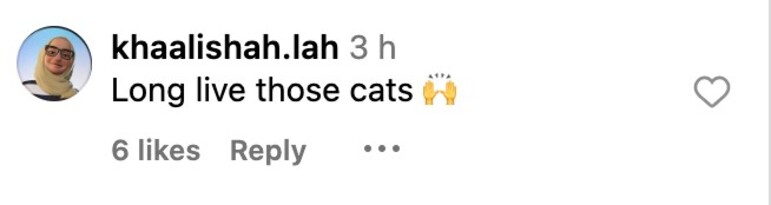 Social media comment on the post of Clever cats sensed danger and fled moments before an electric bike crashed through a man’s living room window in China, leaving viewers amazed by their instincts.