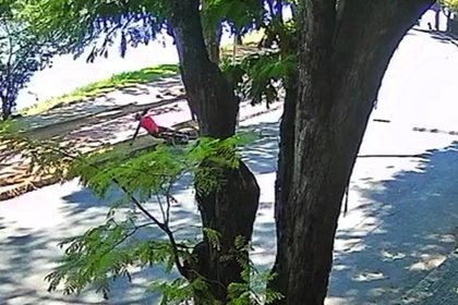 Thugs knock cyclist into ditch before snatching gold chain in shocking Brazil robbery. Victim left injured as attackers flee - police investigation ongoing.