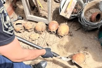 Workers at a building site in Argentina uncovered over 10 human skulls, sparking fears of black magic rituals as police investigate their origins and possible grave robberies.