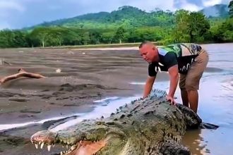 A tour guide in Costa Rica sparked outrage after recklessly teasing a giant crocodile at the Tárcoles River - prompting officials to warn against dangerous wildlife interactions.