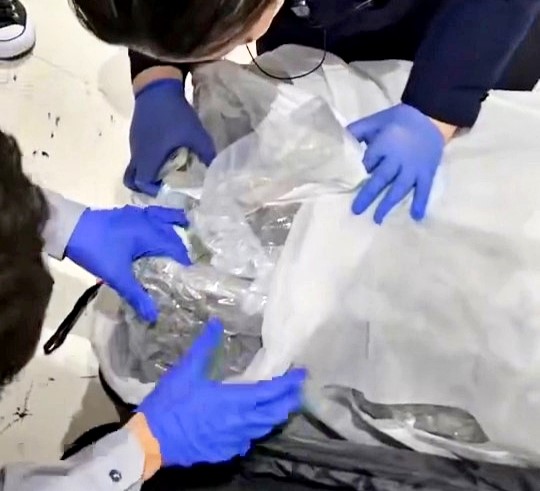 A Thai couple on their first trip abroad accidentally took the wrong suitcase, unknowingly carrying 24kg of cannabis to Japan. Authorities cleared them after a thorough investigation.