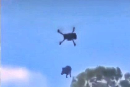 Authorities are investigating after a terrified puppy was flown through the air with a drone in Mexico as those responsible could face prison time for animal cruelty.
