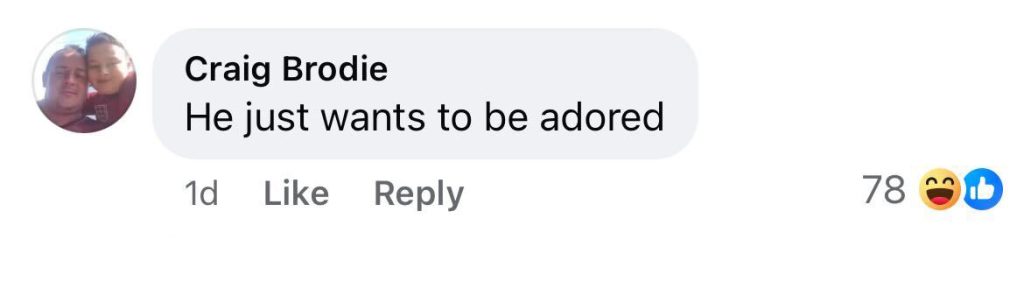 Social media comment on the post of Police e-fit of a Barnsley flasher suspect is going viral after fans say it looks like Stone Roses frontman Ian Brown - though there’s no link to the singer himself.