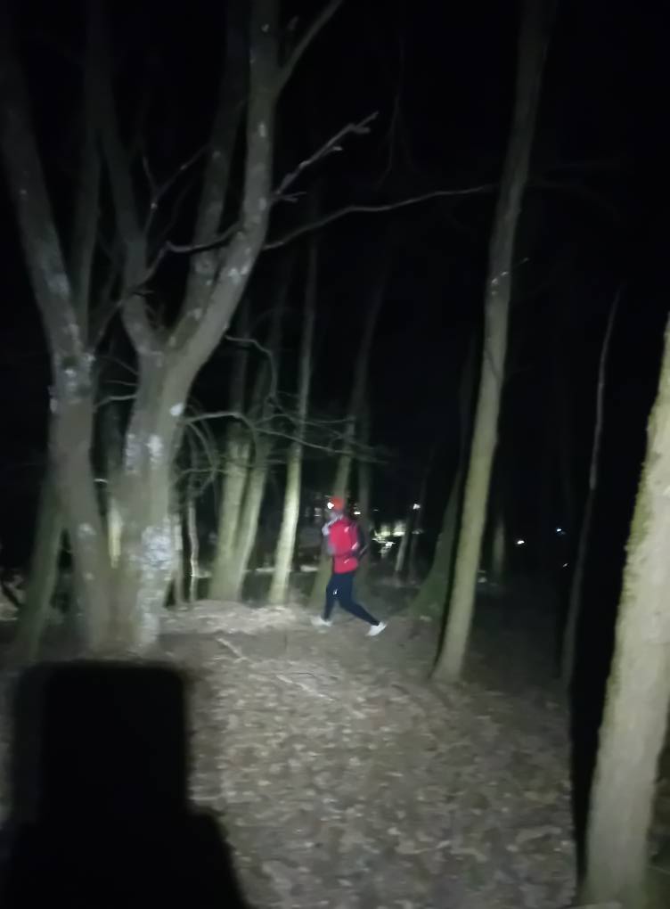 Father mauled to death by bear during forest walk in Slovakia - 58-year-old Ján found with fatal neck injuries as officials warn of rising bear encounters across region.