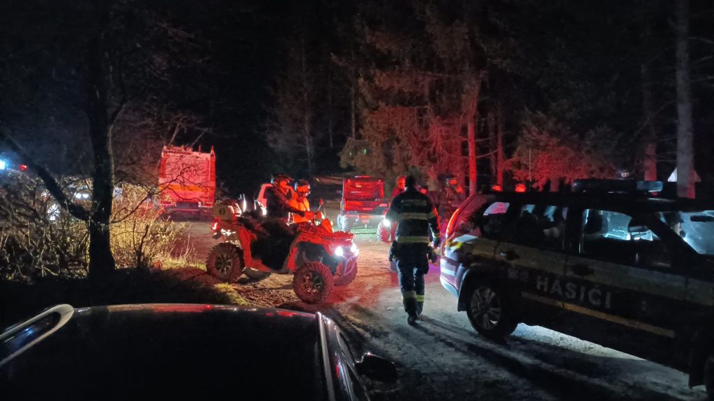 Father mauled to death by bear during forest walk in Slovakia - 58-year-old Ján found with fatal neck injuries as officials warn of rising bear encounters across region.