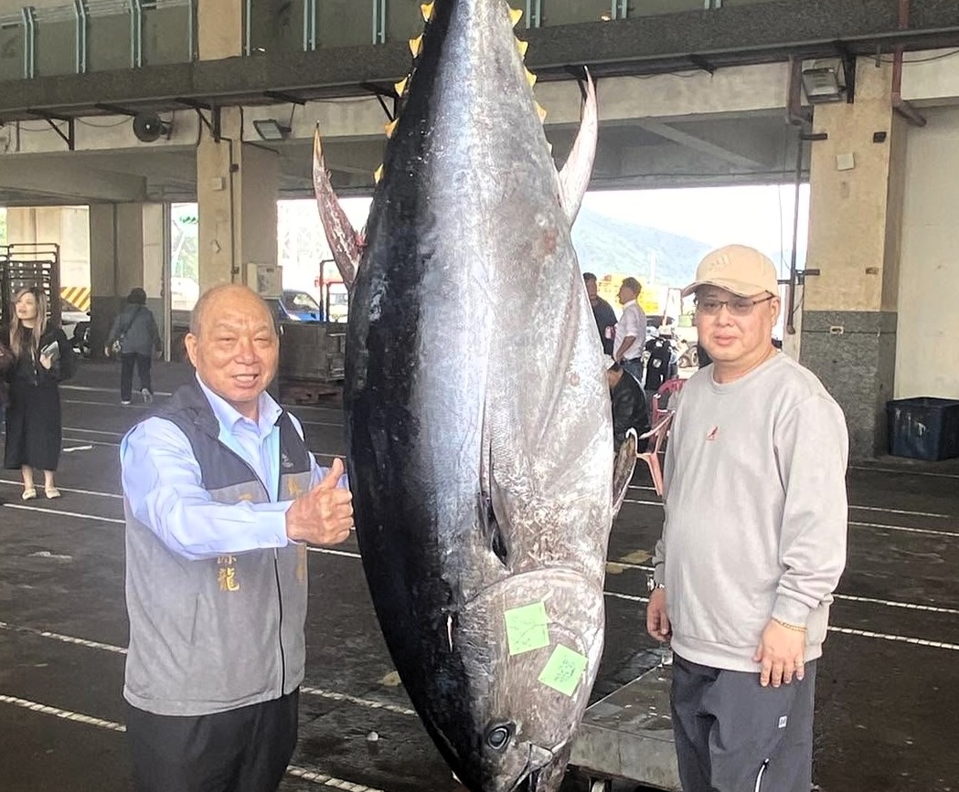 Taiwan fisherman reels in massive 216kg tuna worth up to £67,000 - Lin Yijun lands first catch of the season after days at sea using squid and mackerel bait.