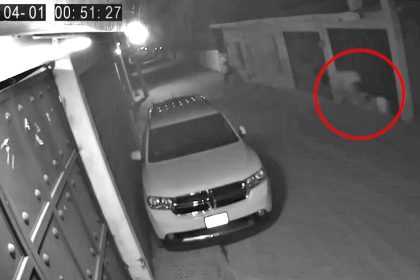 ‘Headless horseman’ caught on CCTV in eerie midnight footage from Mexico - ghostly rider appears and vanishes in seconds as locals baffled by galloping sounds and silent witness.