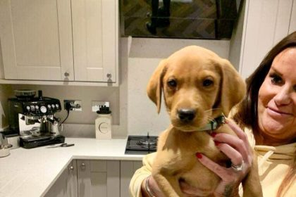 A dog owner was left terrified after receiving a typed threat demanding her Labrador stop barking or face harm - prompting a police investigation into the chilling note.