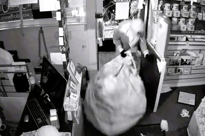 Masked thieves stole 300+ Jellycats worth £20k in a ram raid on a Cheddar toy shop amid soaring collector demand. Police seek silver Renault Twingo.