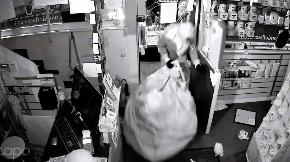 Masked thieves stole 300+ Jellycats worth £20k in a ram raid on a Cheddar toy shop amid soaring collector demand. Police seek silver Renault Twingo.