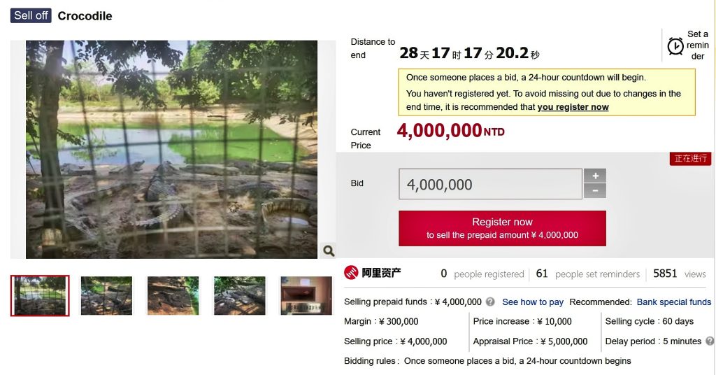 China auctions 100 tons of crocodiles for £430,000 after ‘Crocodile God’ Mo Junrong’s company liquidation - buyers must handle capture, transport, and hold breeding license.