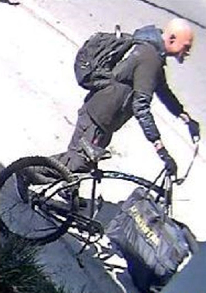 Man arrested for chainsaw rampage in LA - Samuel Groft, 40, accused of chopping trees in multiple districts, faces felony vandalism charges and $150,000 bail