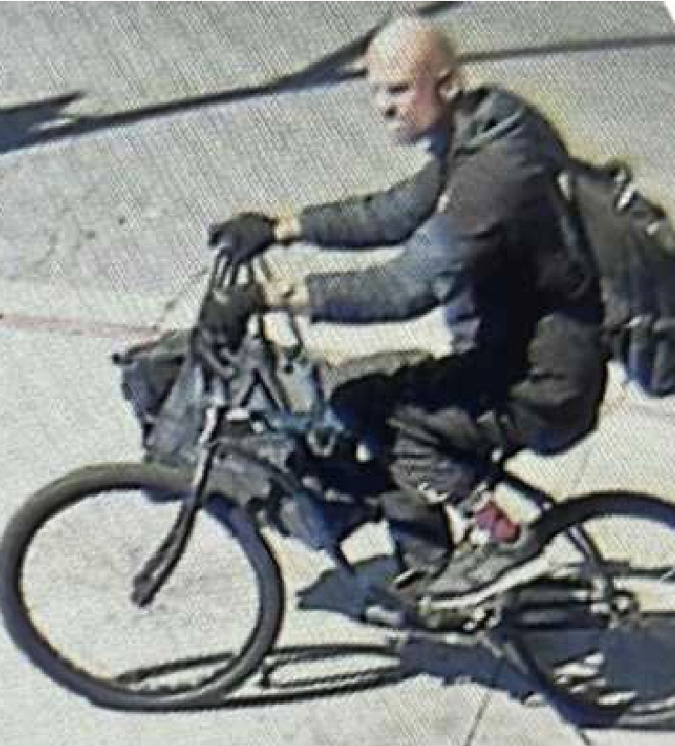 Man arrested for chainsaw rampage in LA - Samuel Groft, 40, accused of chopping trees in multiple districts, faces felony vandalism charges and $150,000 bail