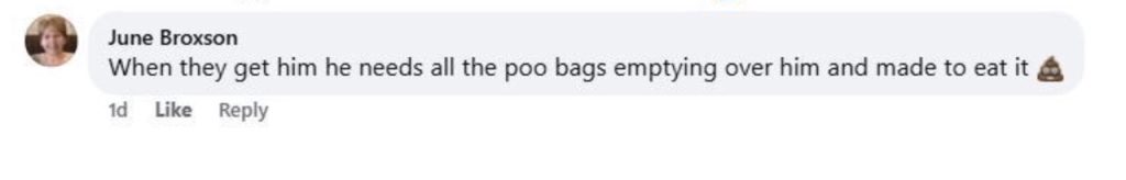 Social media comment on the post of Motorcyclist throws bag of dog poo at council warden in Stanley, County Durham - caught on camera as officials appeal for help identifying the balaclava-wearing rider.