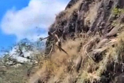 Young dad Marlon Cantor dies after cliff jump goes wrong in Honduras - tragic moment caught on video as he hits rock instead of water, leaving daughter behind.