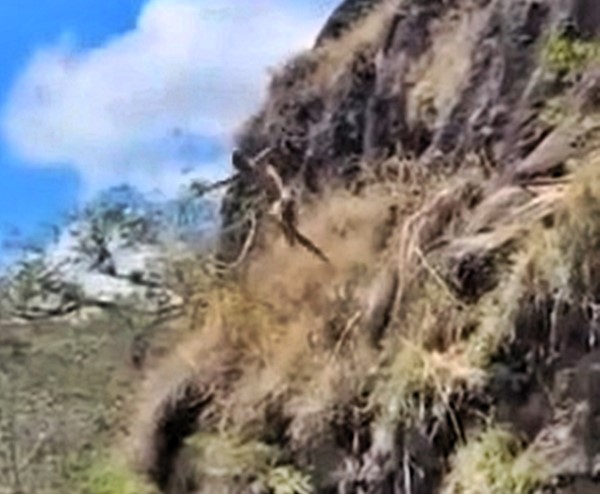 Young dad Marlon Cantor dies after cliff jump goes wrong in Honduras - tragic moment caught on video as he hits rock instead of water, leaving daughter behind.