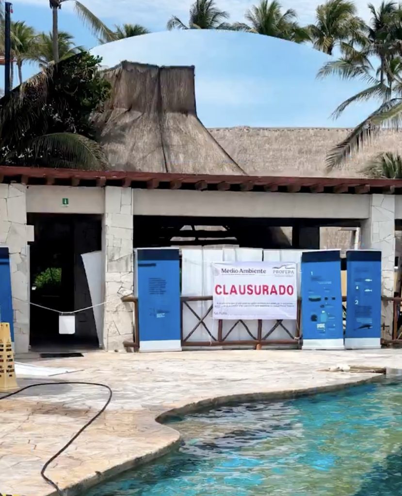 Dolphinaris Barceló shut down after viral footage exposed dolphins in tiny dirty pools - activists now push for their safe relocation to a sanctuary.