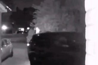 Car dealer Tom Jaconelli's £114k Range Rover was stolen for the fourth time but recovered thanks to a tracker and police dogs. Suspect caught and now in custody.