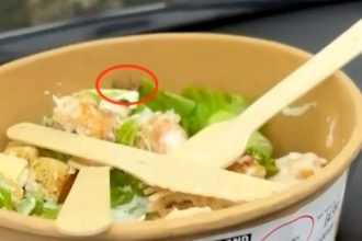 Woman claims she found a dead cockroach in her Costco salad just moments after purchase - says she was left in tears and vows never to eat there again.