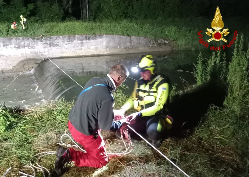 Gianfranco Baldin, 63, tragically died after jumping into a swollen Italian stream to save his dog, who survived thanks to firefighters after a 24-hour search effort.