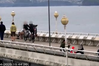 An e-bike rider doing wheelies on Torquay pier was arrested by plain clothed police for dangerous riding. The illegally modified bike will now be destroyed by officers.