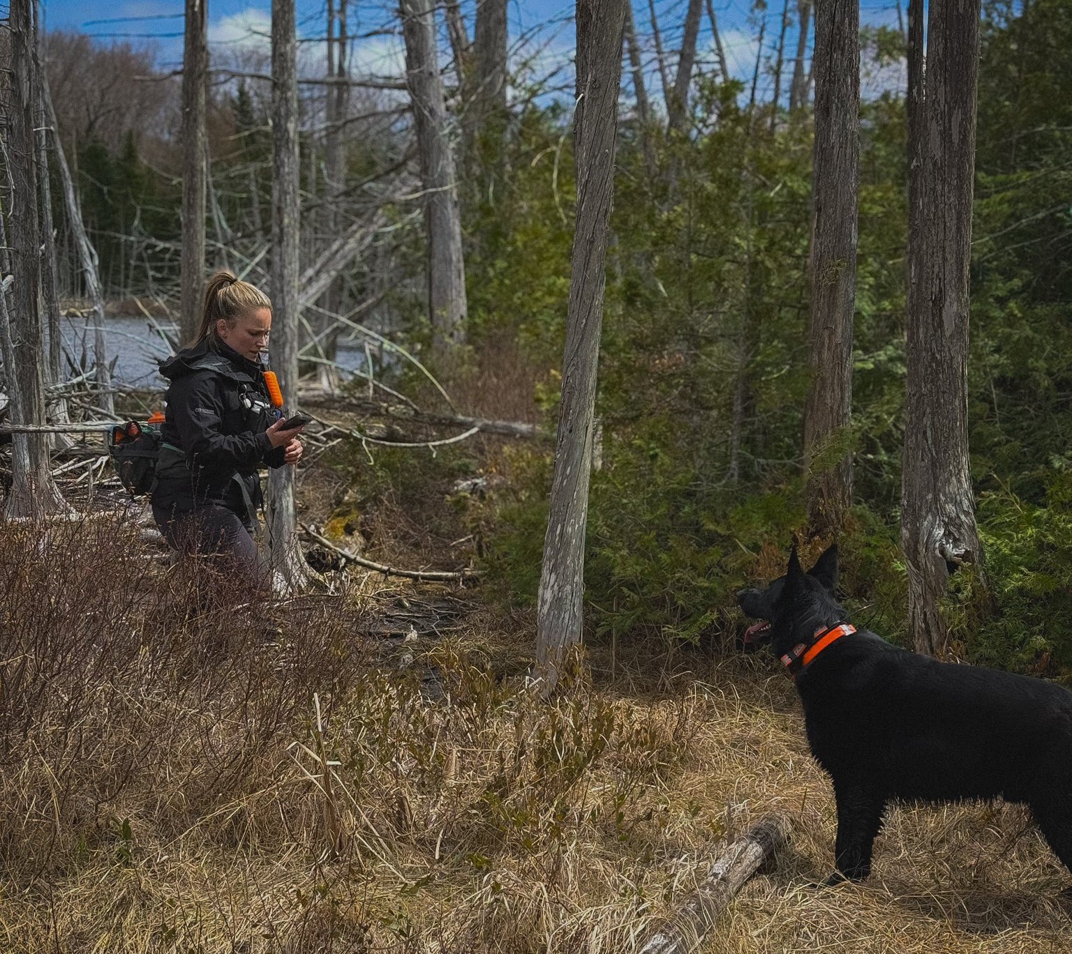 Hiker missing for FOUR months found dead by search dog | Need To Know