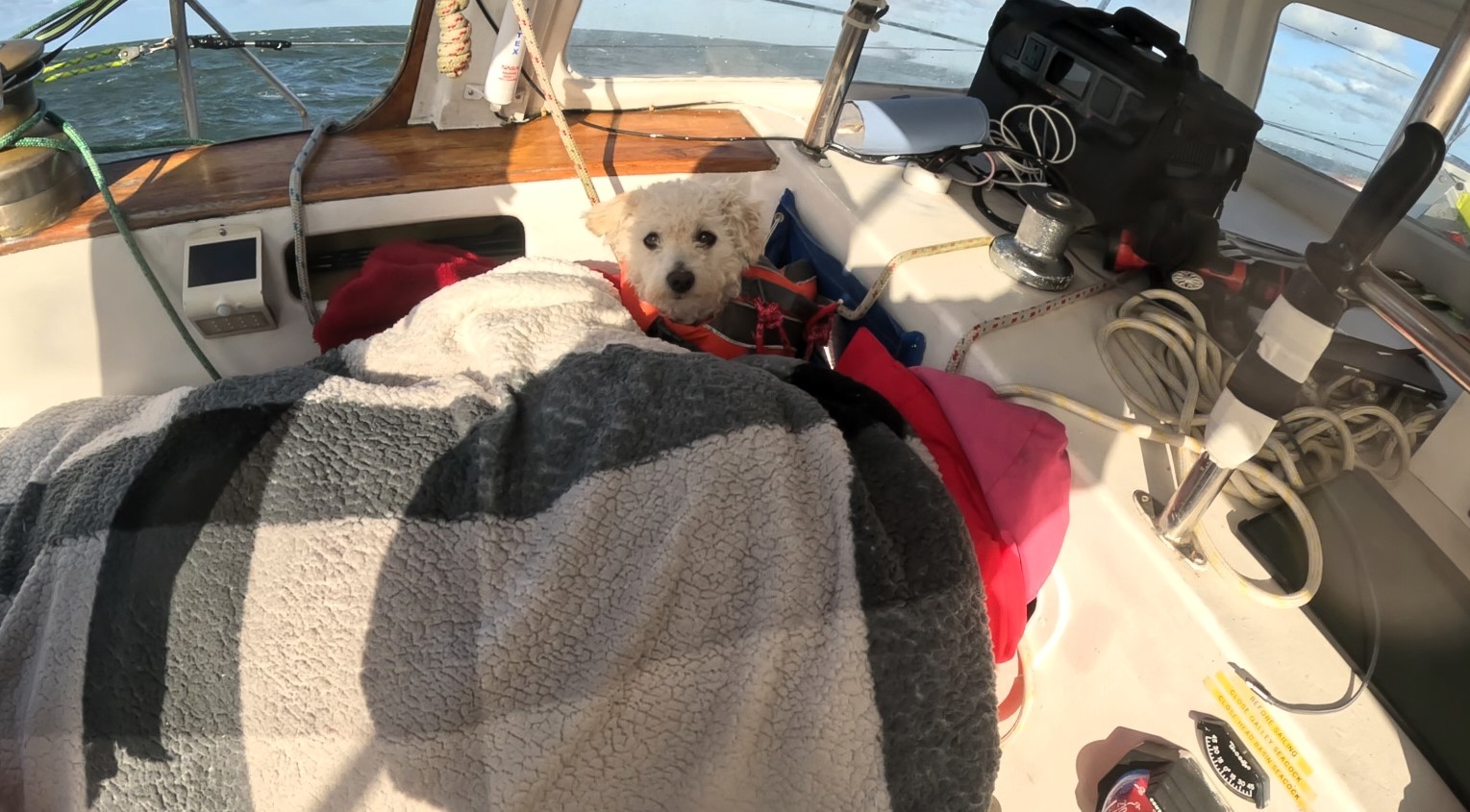 A heroic dog helped keep injured crew warm during a dramatic six-hour rescue from a disabled yacht off Kent - staying calm as lifeboats and a helicopter responded.