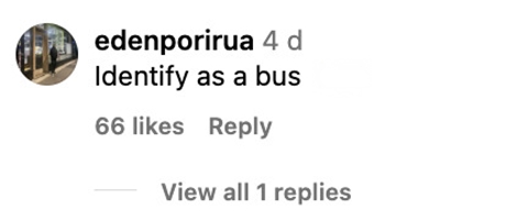 Social media comment on the post of A man sparked viral laughs after driving in a New Zealand bus lane with a giant middle finger sign on his car roof, seemingly aimed at speed cameras.