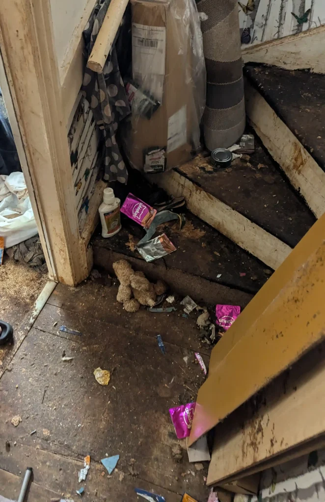 Fiona and Helen Martin from Leeds were banned from owning animals after keeping pets in filthy, locked conditions without food or water. All four animals have been rehomed.