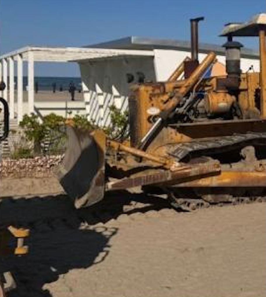 Retired teacher Elisa Spadavecchia was tragically killed by a bulldozer while sunbathing on an Italian beach, sparking a manslaughter investigation into the operator.