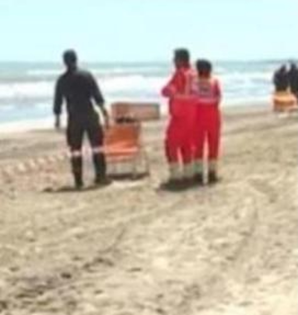 Retired teacher Elisa Spadavecchia was tragically killed by a bulldozer while sunbathing on an Italian beach, sparking a manslaughter investigation into the operator.