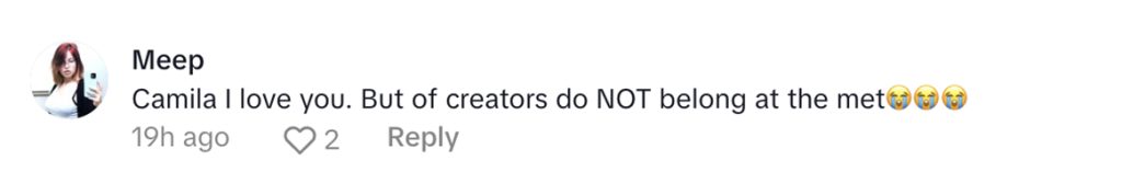 Social media comment on the post of OnlyFans star Camilla Araujo sparked backlash after attending a Met Gala afterparty, with critics slamming the invite while she defended creators’ success and ambition.