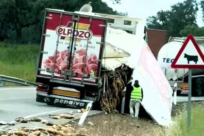 A lorry crash in Huelva scattered pork legs across the road, sparking viral reactions as locals joked about grabbing the meat, while others lamented the waste.