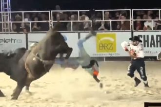 Bull rider Daniel Alexandre dos Santos, 20, was dragged in circles by a bucking bull in Brazil - miraculously surviving with just a dislocated knee after the brutal ordeal.
