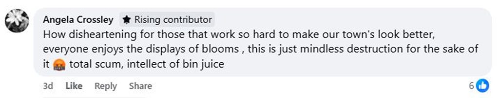 Social media comment on the post of Floral display destroyed by vandal in historic Bideford caught on camera - locals outraged as man stomps blooms and slashes boxes with his shoe in mindless act.