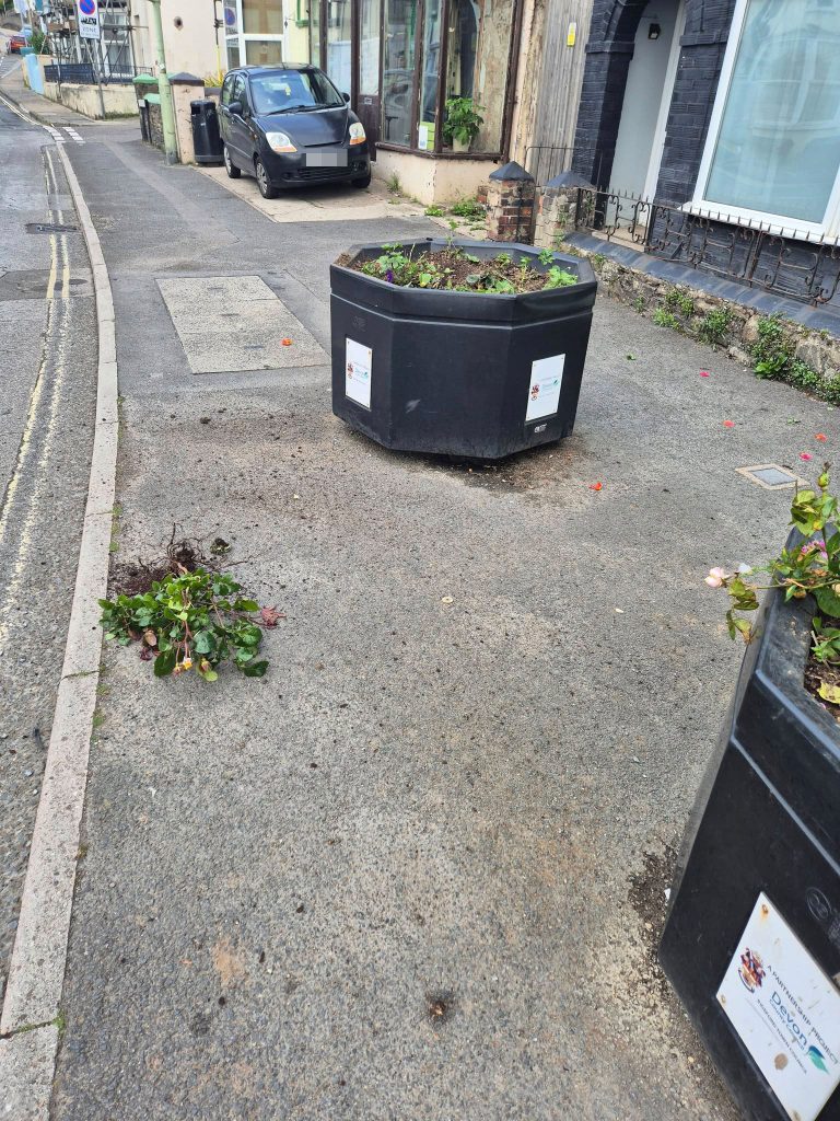Floral display destroyed by vandal in historic Bideford caught on camera - locals outraged as man stomps blooms and slashes boxes with his shoe in mindless act.
