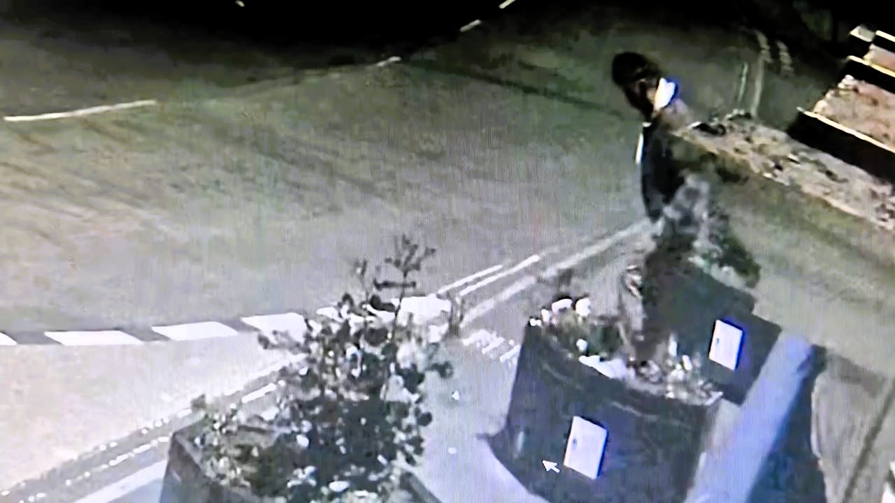 Floral display destroyed by vandal in historic Bideford caught on camera - locals outraged as man stomps blooms and slashes boxes with his shoe in mindless act.