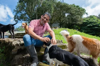 Territorio de Zaguates, Costa Rica’s famous no-kill dog sanctuary, is tackling major expenses but hopes to reopen to visitors soon after rescuing over 26,000 dogs since 2004.
