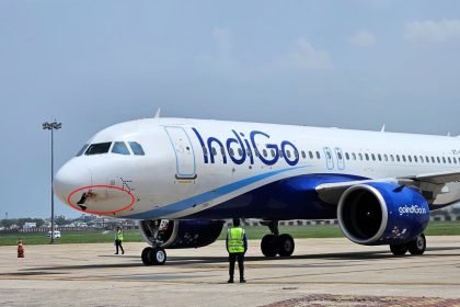 A vulture strike at 3,500ft left an IndiGo Airbus A320 dented and bloodied, forcing an emergency landing in Ranchi. All 175 on board escaped unharmed.