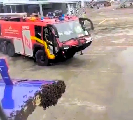 A swarm of bees delayed an IndiGo flight in India after gathering on the plane door - fire crews used water jets to clear them so the flight could finally depart.
