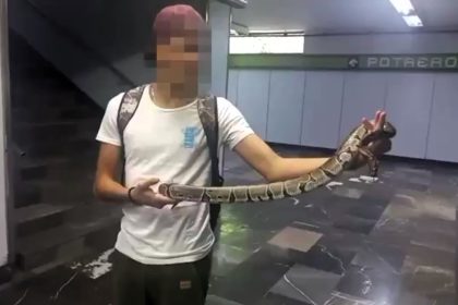 A boy in Mexico City was caught trying to board the metro with a huge snake bought online - now under investigation for lacking permits and breaking metro rules.
