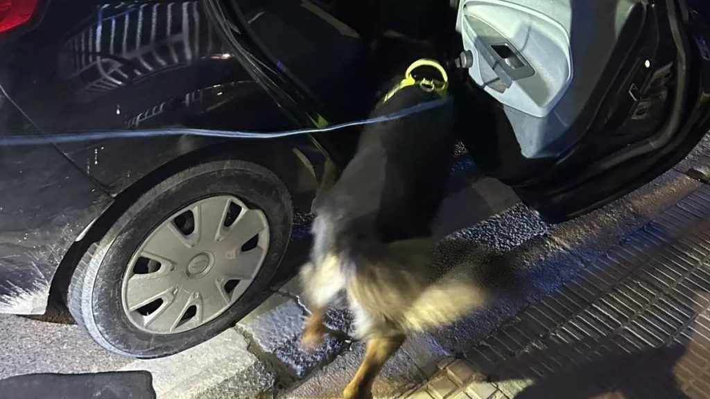 A British couple were arrested in Jávea, Spain after police found 48g of cocaine hidden in their car. The driver tested positive and now faces drug trafficking charges.