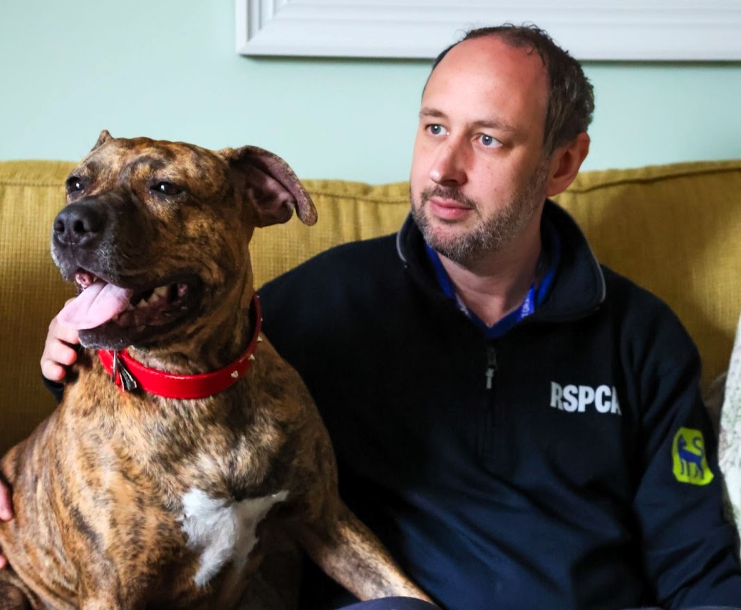 Brave pup Bella suffered a broken skull and abuse but now thrives in a loving home thanks to a heroic rescue and the RSPCA's ongoing Summer Cruelty Campaign.