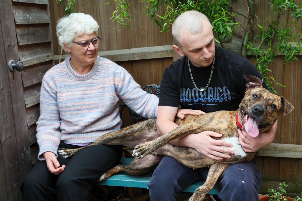 Brave pup Bella suffered a broken skull and abuse but now thrives in a loving home thanks to a heroic rescue and the RSPCA's ongoing Summer Cruelty Campaign.