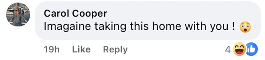 Social media comment on the post of A beachgoer sparked panic after taking home a suspected WW2 German mortar bomb from St Ouen's Bay - bomb squad called to safely recover the potentially live device.