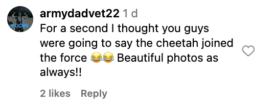 Social media comment on the post of Drug dealer’s 196 mph Chevy Corvette C8 seized by Florida cops becomes patrol car - with a V8 engine, 0-60 in 2.9s, cheetah pics, and no taxpayer cost.