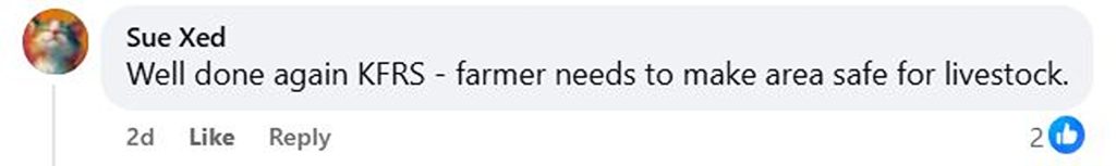 Social media comment on the post of Brave cow Nettie got stuck in Kent mud and was rescued after 3.5 hours by heroic firefighters - now safe in her barn with her calf and a well-earned hay feast.