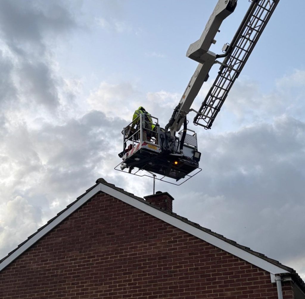 A Harris Hawk was rescued from a TV aerial in Essex by firefighter Harry McWilliam after getting tangled. The daring rooftop save drew cheers from locals.