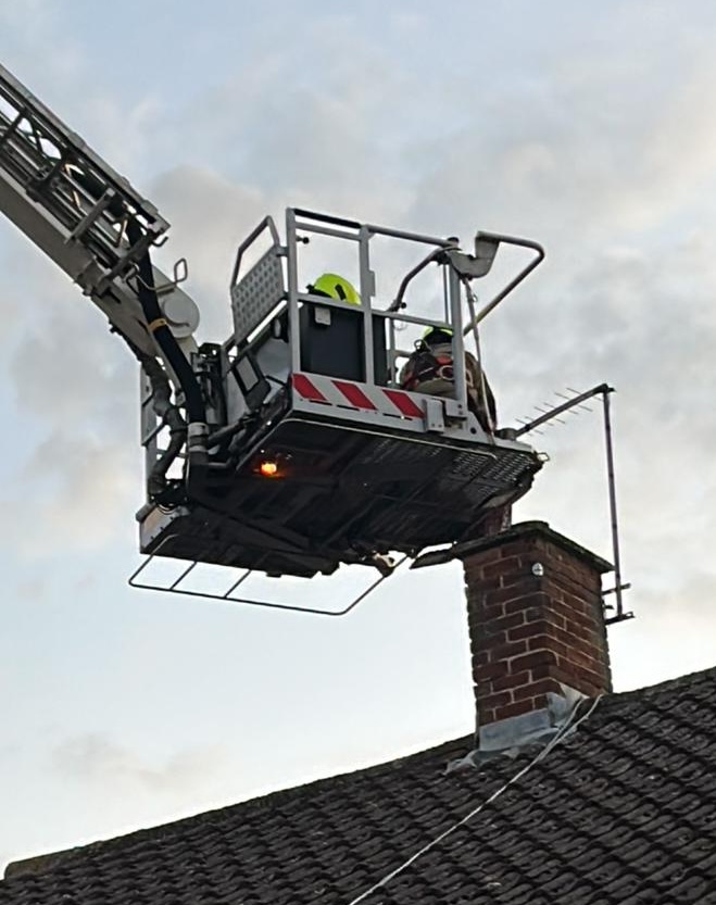 A Harris Hawk was rescued from a TV aerial in Essex by firefighter Harry McWilliam after getting tangled. The daring rooftop save drew cheers from locals.